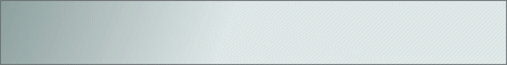 DDos Service